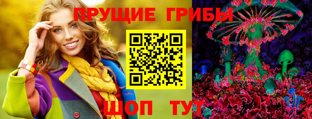 Славгород  Псилоцибиновые грибы Psilocybine cubensis  Вход с VPN 