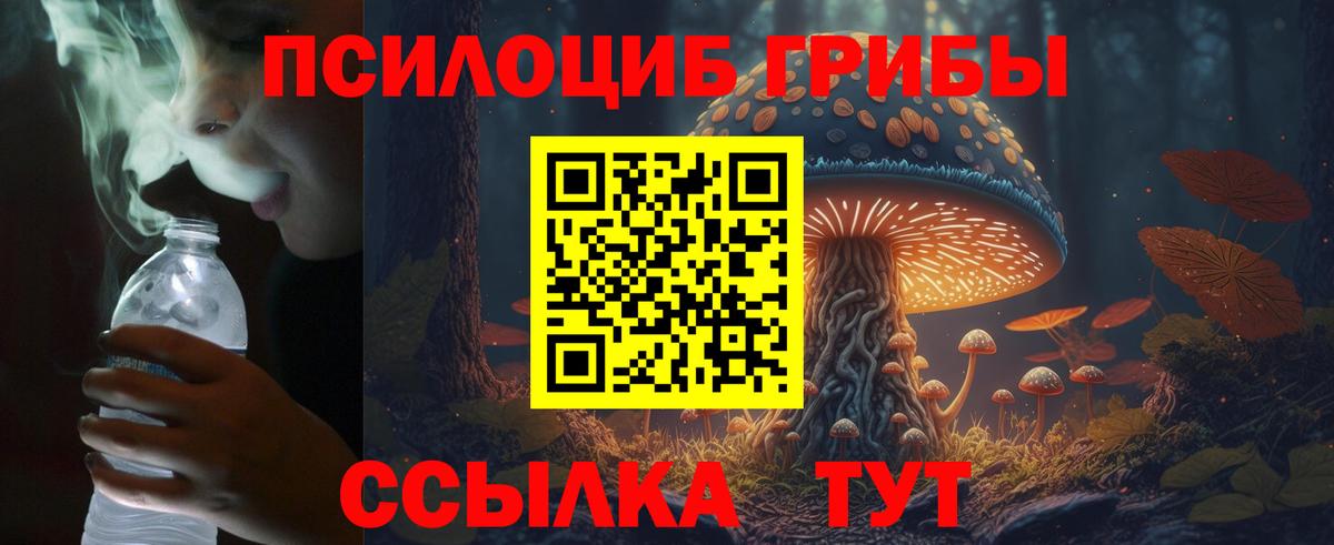Псилоцибиновые грибы Cubensis Славгород
